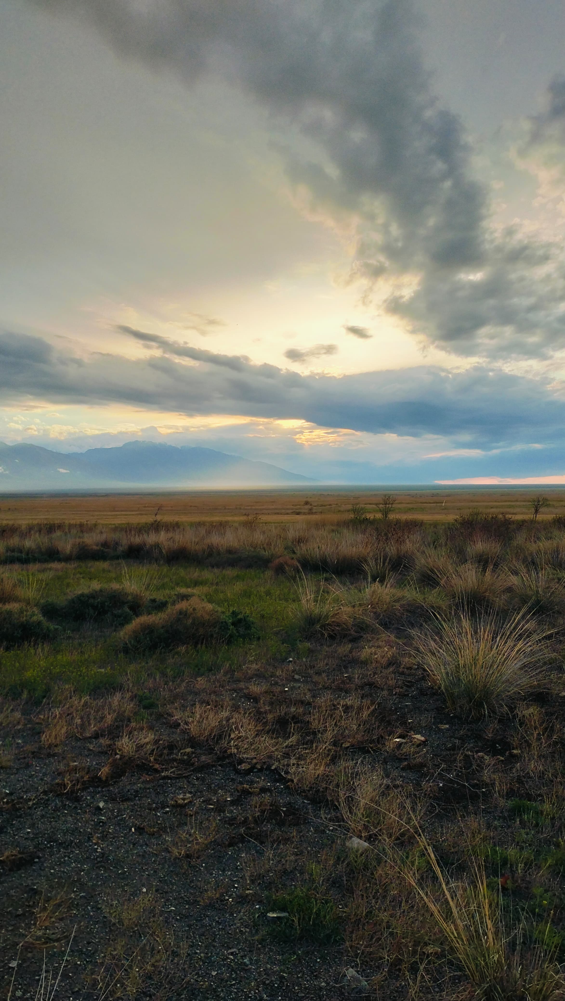 Әйелі орманда күйеуін сиқыған